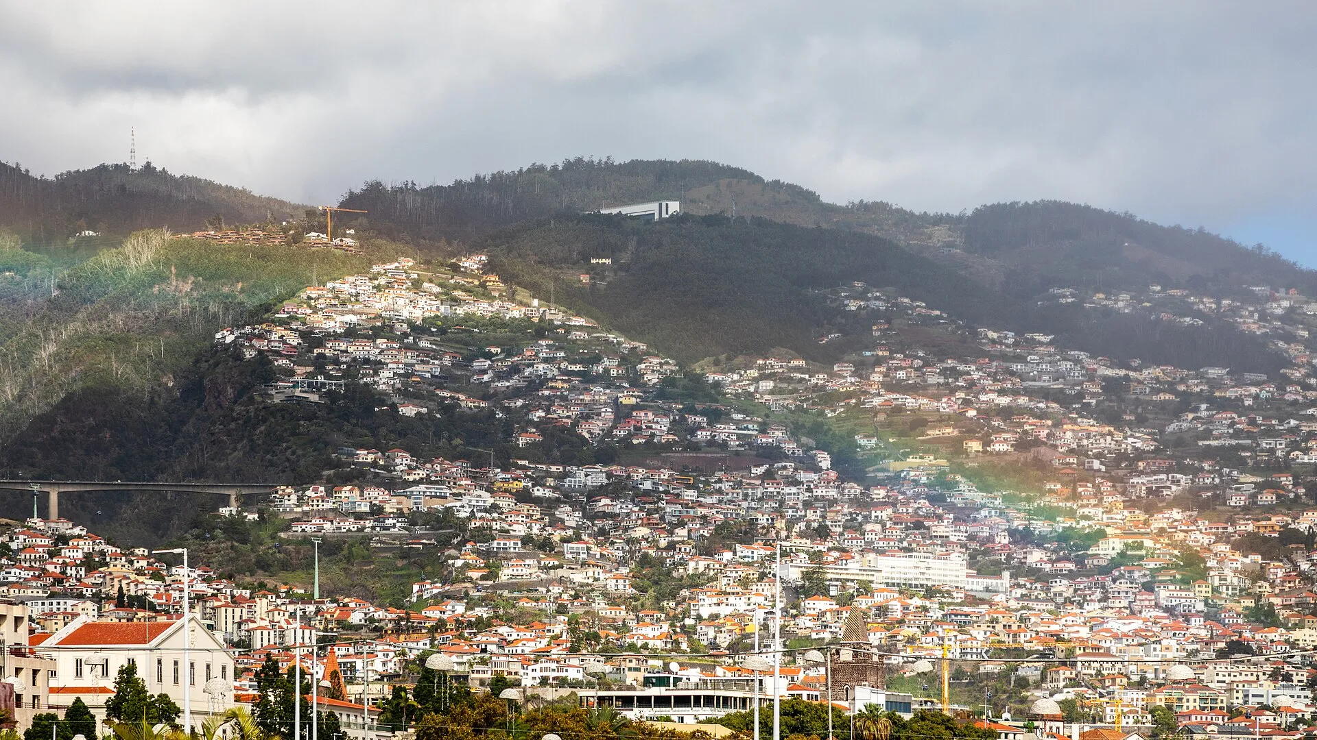 madeira island funchal, Madeira