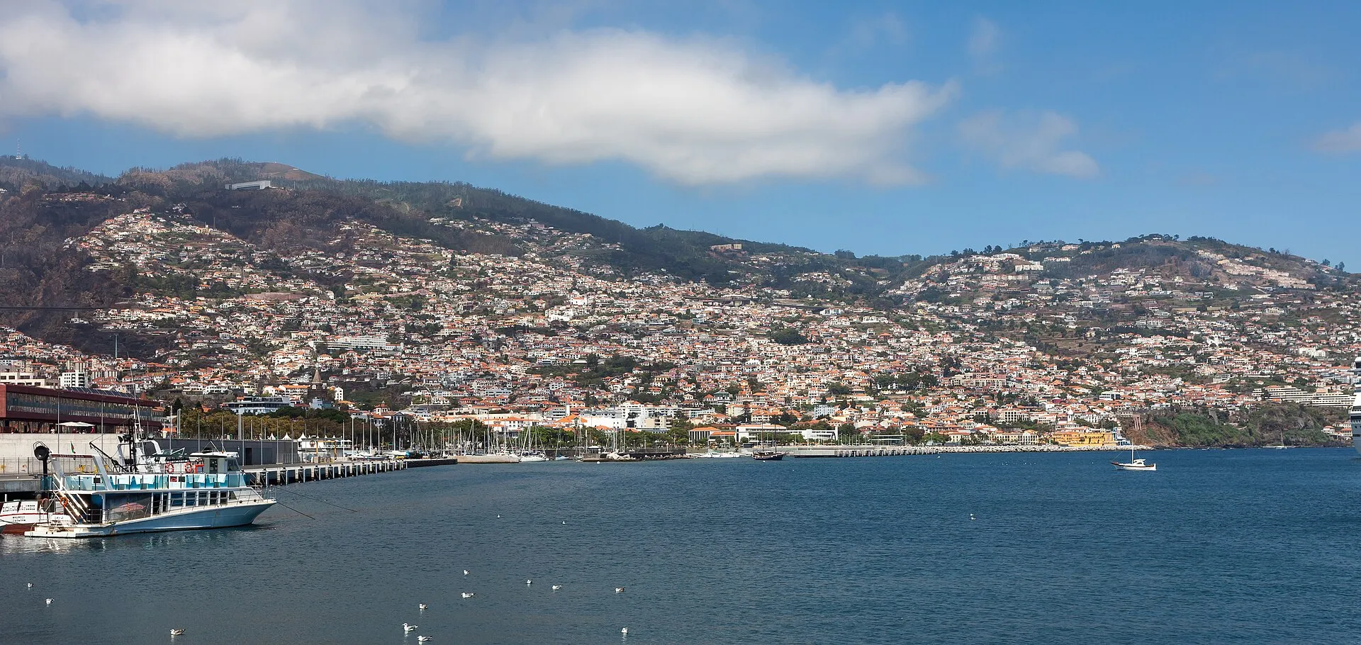 Transportes de entrada e saída da ilha da Madeira: voos, companhias aéreas, épocas mais económicas, truques e dicas para poupar, Madeira