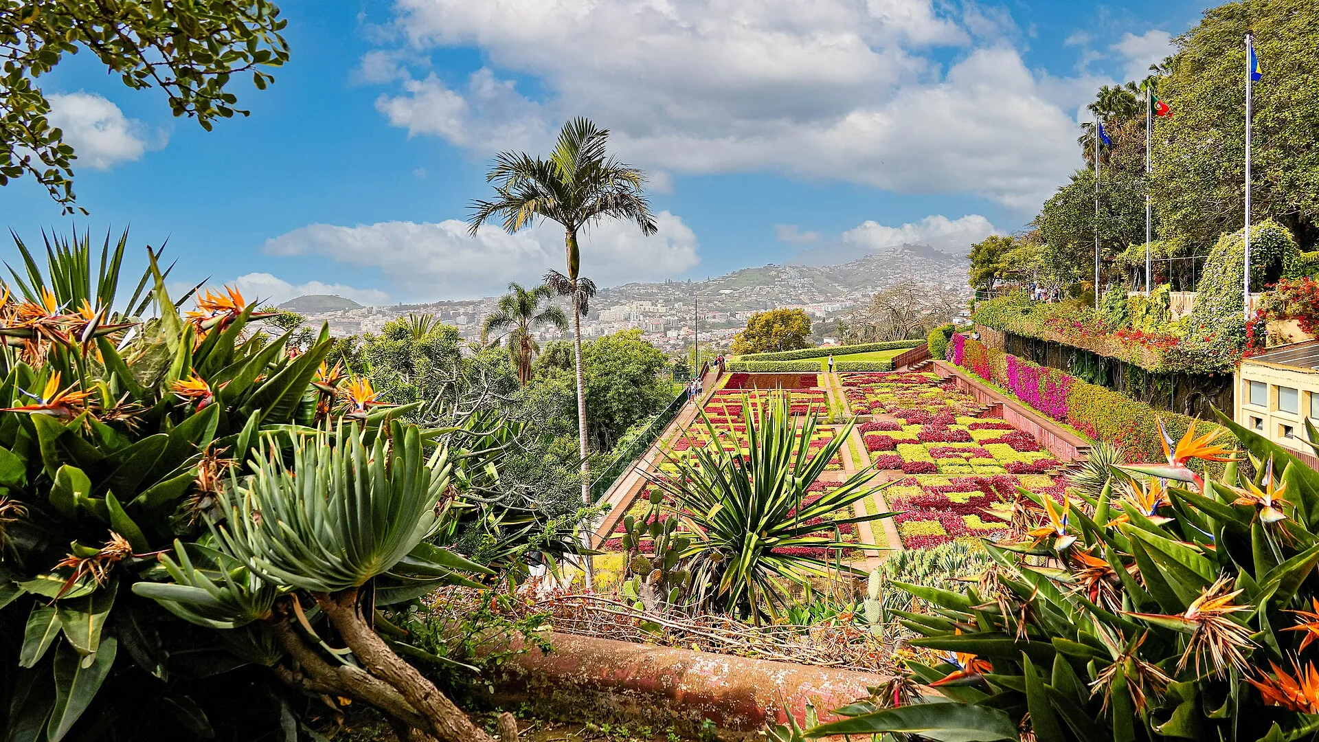 funchal madeira botanical garden, Madeira