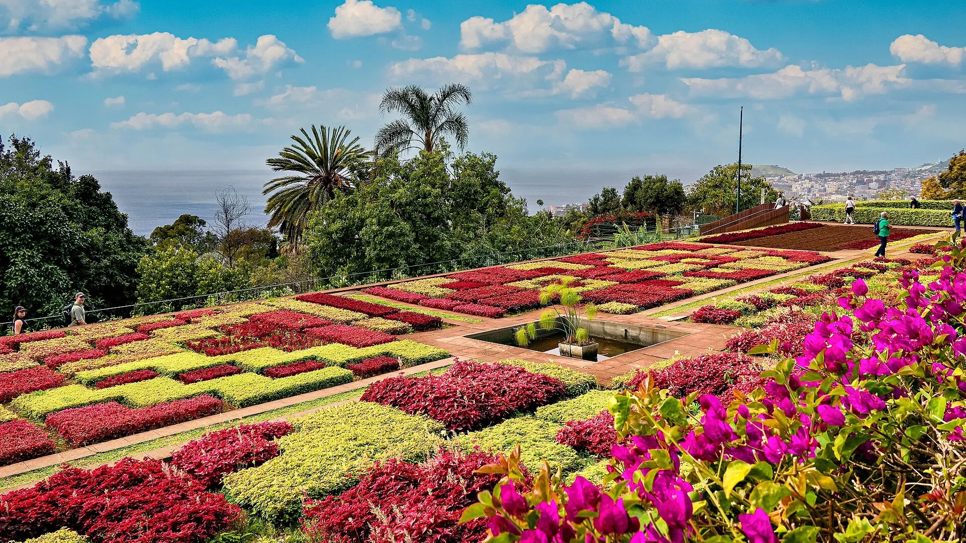 funchal madeira botanical garden, Madeira