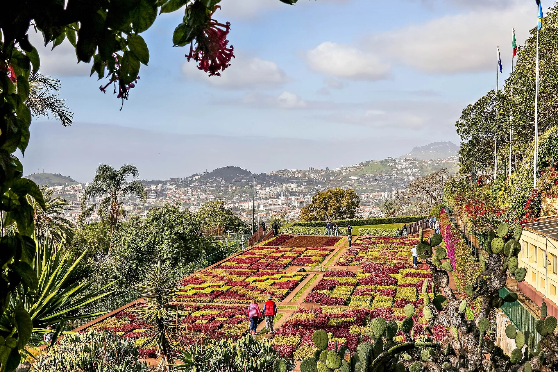 funchal madeira botanical garden, Madeira