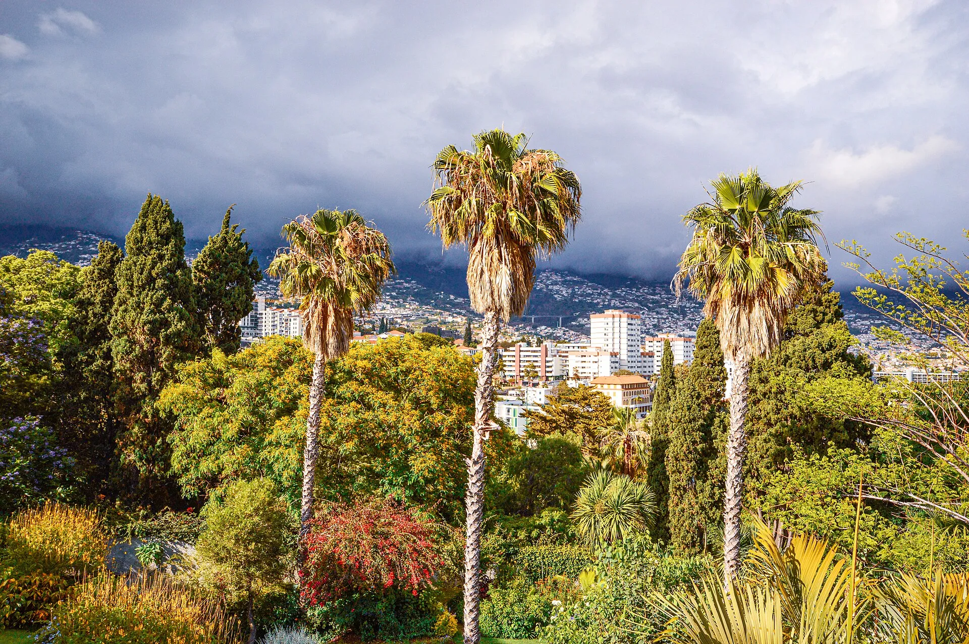 february weather in madeira, Madeira