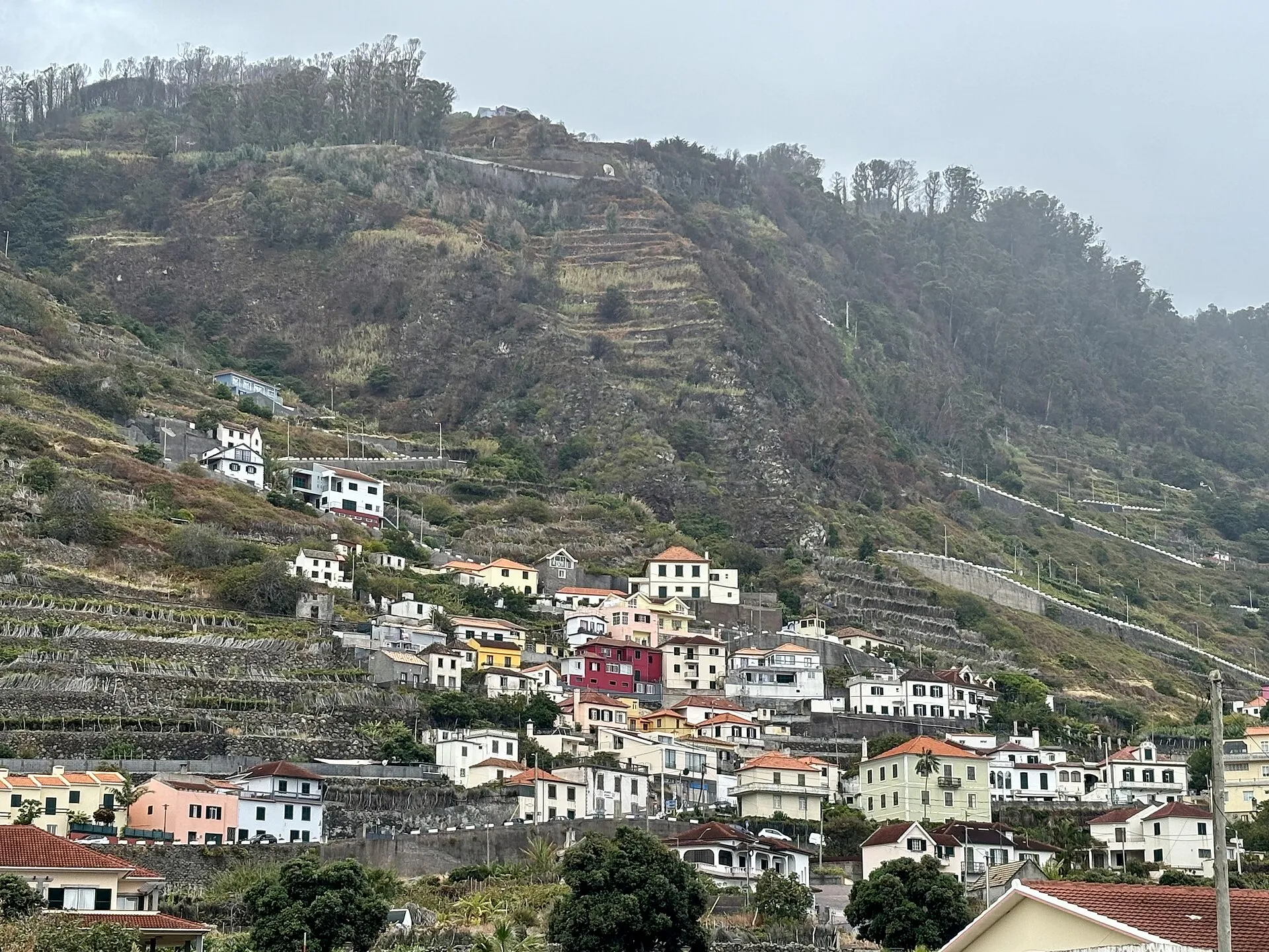madeira island weather forecast, Madeira